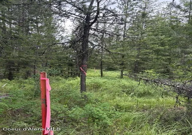 Homes for sale in Spirit Lake, ID | Nna Adams St, Spirit Lake, ID 83869 | MLS# 26-6619