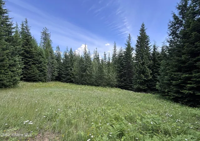1st image of 1046 Saddleback Dr, Naples, ID 83847 | MLS# 26-6693