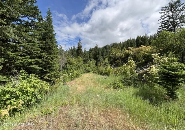 Homes for sale in Sandpoint, ID | Nna S Idaho Club Dr, Sandpoint, ID 83864 | MLS# 26-6620