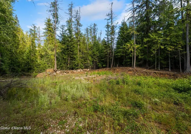 4th image of 9782 Bottle Bay Rd, Sagle, ID 83860 | MLS# 26-6819