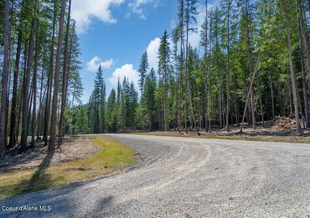 4th image of Lot 7 Brown Bear Dr, Nordman, ID 83848 | MLS# 26-6709