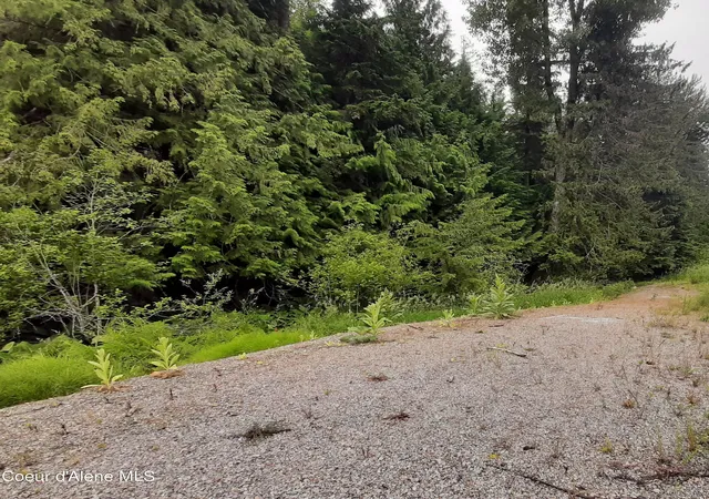 Homes for sale in Kingston, ID | 11328 Coeur D'alene River Rd, Kingston, ID 83839 | MLS# 26-6758