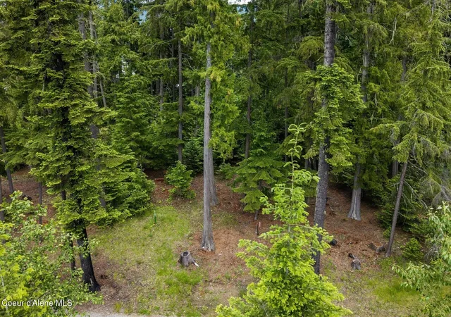 46th image of Lot 29 Bruin Rd, Nordman, ID 83848 | MLS# 26-6805