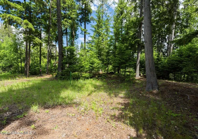 4th image of Lot 29 Bruin Rd, Nordman, ID 83848 | MLS# 26-6805