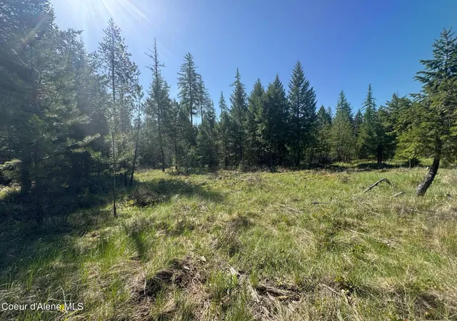 Homes for sale in Priest River, ID | Nka Backroads Way Lot 2, Priest River, ID 83856 | MLS# 26-6821