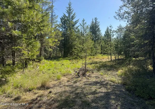 Homes for sale in Priest River, ID | Nka Backroads Way Lot 2, Priest River, ID 83856 | MLS# 26-6821