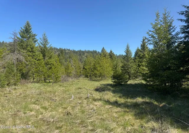 Homes for sale in Priest River, ID | Nka Backroads Way Lot 2, Priest River, ID 83856 | MLS# 26-6821
