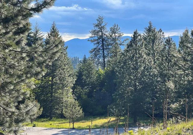 Homes for sale in Harrison, ID | 6557 S Buckrail Rd, Harrison, ID 83833 | MLS# 26-6810