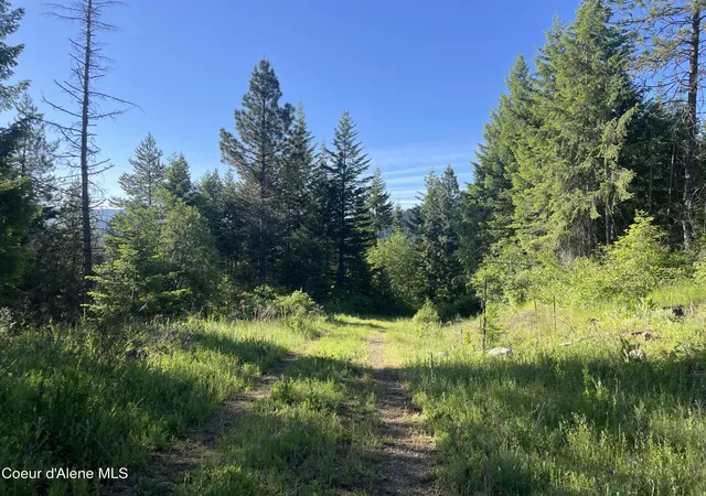 2nd image of 330 Living Waters Wy, Priest River, ID 83856 | MLS# 26-6867