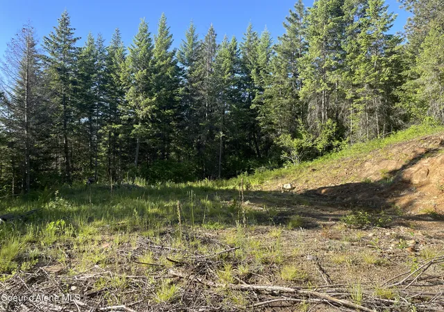 3rd image of 330 Living Waters Wy, Priest River, ID 83856 | MLS# 26-6867