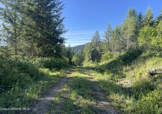 4th image of 330 Living Waters Wy, Priest River, ID 83856 | MLS# 26-6867
