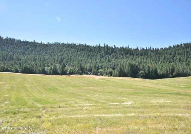 Homes for sale in Plummer, ID | Lot 4 Pebblestone Dr, Plummer, ID 83851 | MLS# 26-6884