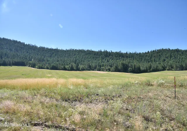 Homes for sale in Plummer, ID | Lot 4 Pebblestone Dr, Plummer, ID 83851 | MLS# 26-6884