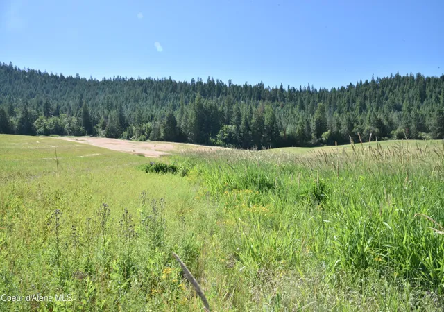 4th image of Lot 9 Pebblestone Dr, Plummer, ID 83851 | MLS# 26-6886