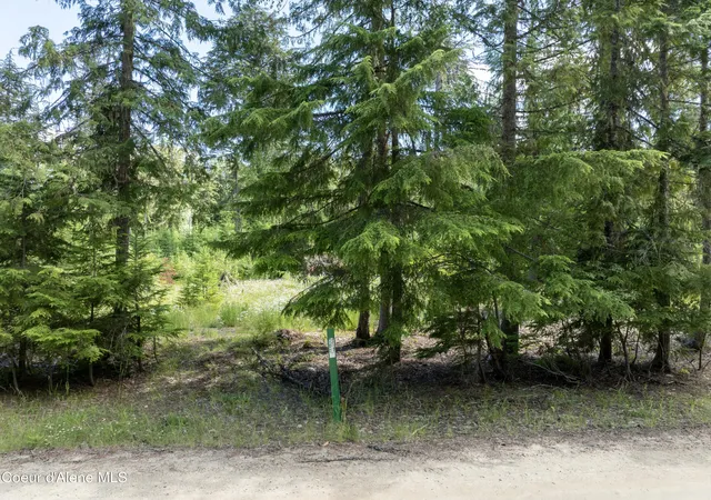 4th image of Lot 2 Peirone Estates, Nordman, ID 83848 | MLS# 26-6892