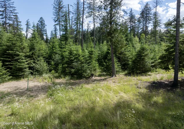 18th image of Lot 3 Peirone Estates, Nordman, ID 83848 | MLS# 26-6888