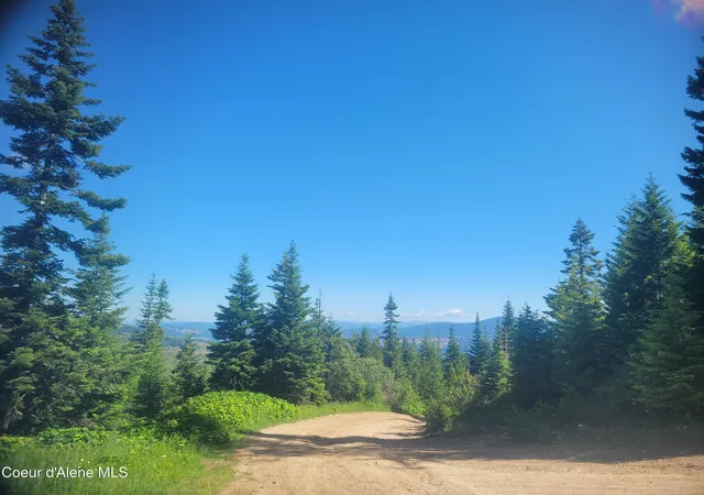 Homes for sale in St. Maries, ID | 83 Wildflower Rd, St. Maries, ID 83861 | MLS# 26-6889