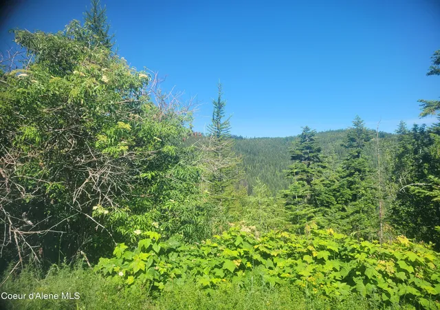 4th image of 83 Wildflower Rd, St. Maries, ID 83861 | MLS# 26-6889