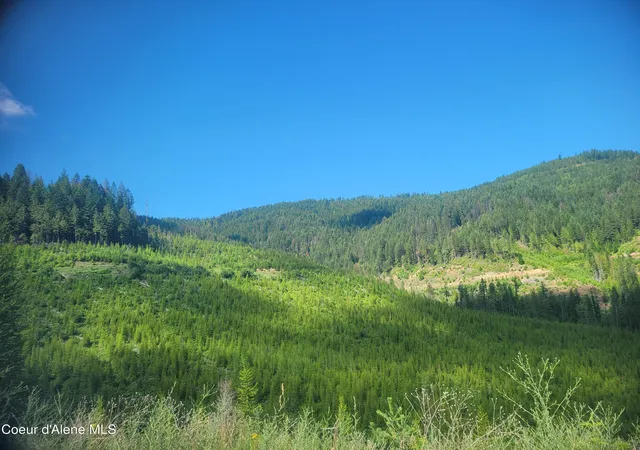 Homes for sale in St. Maries, ID | 83 Wildflower Rd, St. Maries, ID 83861 | MLS# 26-6889