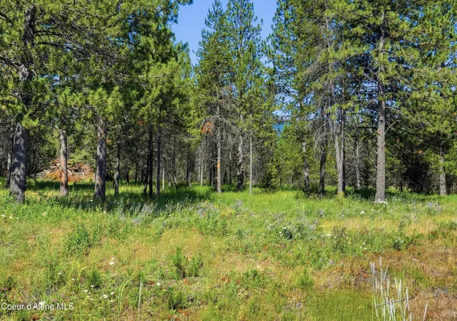 2nd image of 43xx Flatwoods Loop, Rathdrum, ID 83858 | MLS# 26-6906