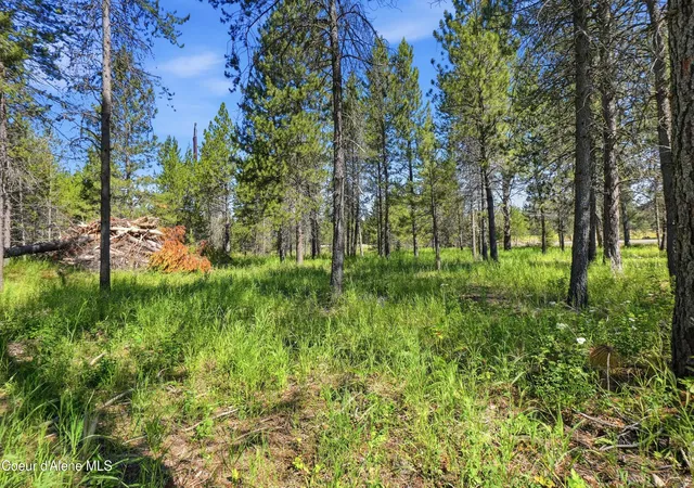 3rd image of 43Xx Flatwoods Loop, Rathdrum, ID 83858 | MLS# 26-6906