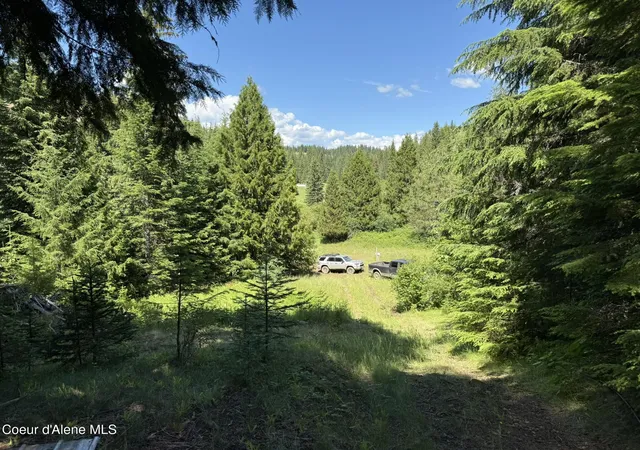 Homes for sale in Saint Maries, ID | 2319 Thorn Creek Rd, Saint Maries, ID 83861 | MLS# 26-6907