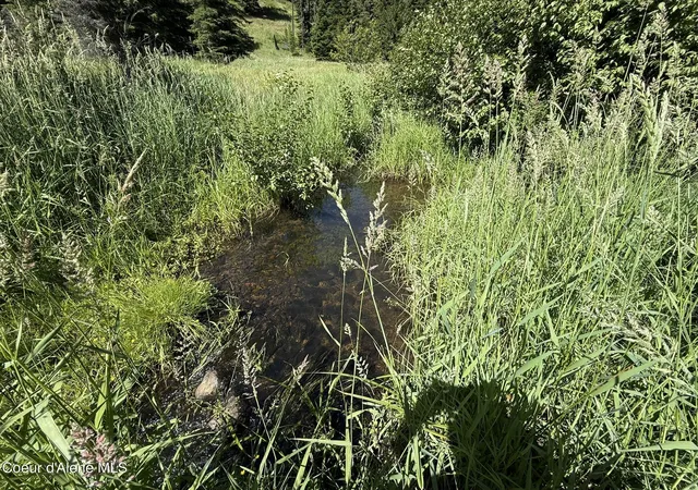 Homes for sale in Saint Maries, ID | 2319 Thorn Creek Rd, Saint Maries, ID 83861 | MLS# 26-6907