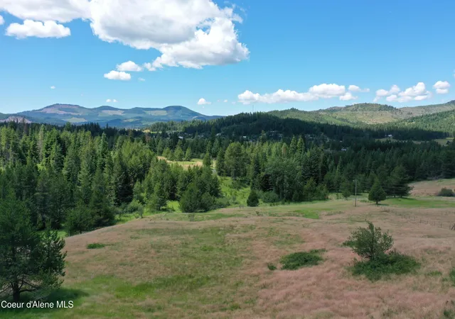 Homes for sale in Emida, ID | Parcel 500 Owl Creek Ln, Emida, ID 83861 | MLS# 26-6924