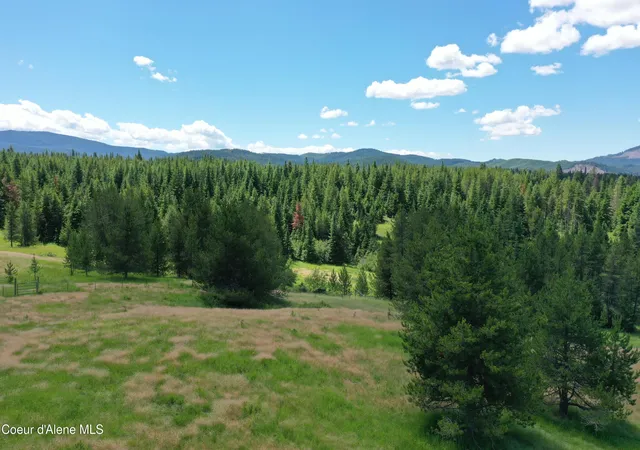 Homes for sale in Emida, ID | Parcel 500 Owl Creek Ln, Emida, ID 83861 | MLS# 26-6924
