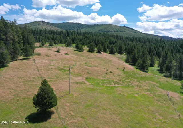 Homes for sale in Emida, ID | Parcel 500 Owl Creek Ln, Emida, ID 83861 | MLS# 26-6924