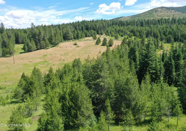 Homes for sale in Emida, ID | Parcel 500 Owl Creek Ln, Emida, ID 83861 | MLS# 26-6924