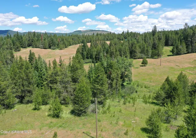 Homes for sale in Emida, ID | Parcel 500 Owl Creek Ln, Emida, ID 83861 | MLS# 26-6924