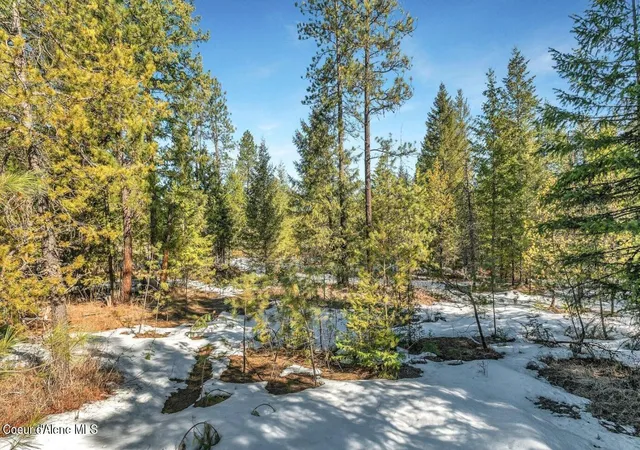3rd image of Nka Lot 1 Everett Huff Rd, Oldtown, ID 83822 | MLS# 26-6942