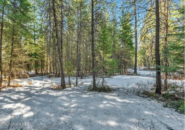 4th image of Nka Lot 1 Everett Huff Rd, Oldtown, ID 83822 | MLS# 26-6942