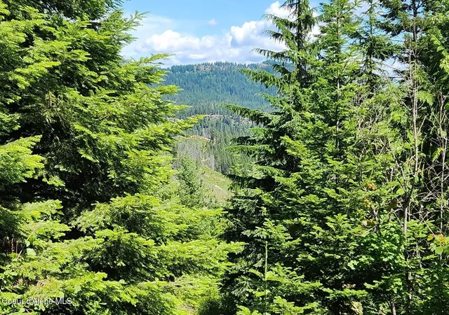 Homes for sale in Priest River, ID | 718 Slippery Slope Lot 1, Priest River, ID 83856 | MLS# 26-6973