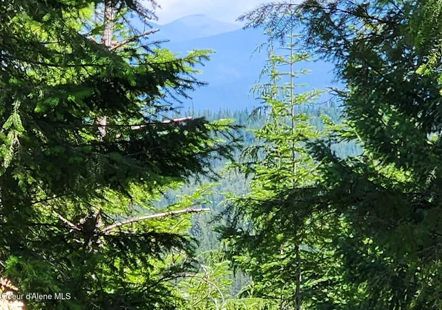Homes for sale in Priest River, ID | 718 Slippery Slope Lot 1, Priest River, ID 83856 | MLS# 26-6973