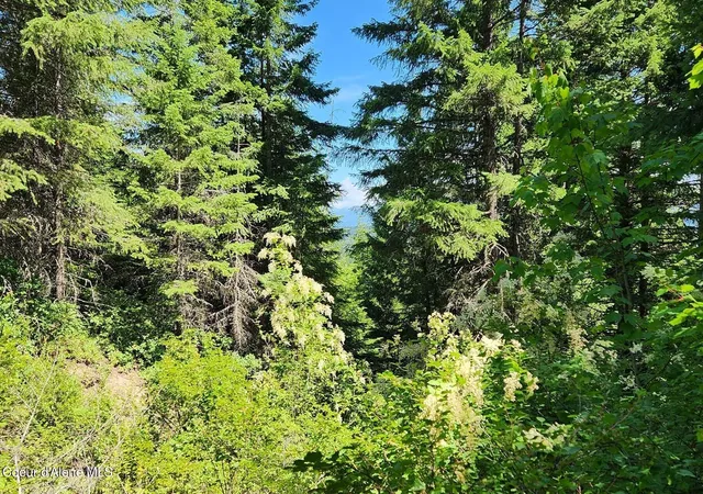 Homes for sale in Priest River, ID | 718 Slippery Slope Lot 1, Priest River, ID 83856 | MLS# 26-6973