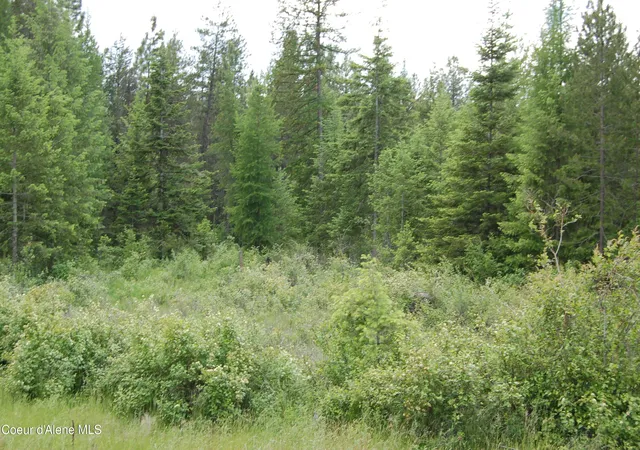 2nd image of Nna Good Hope Road, Athol, ID 83801 | MLS# 26-6985