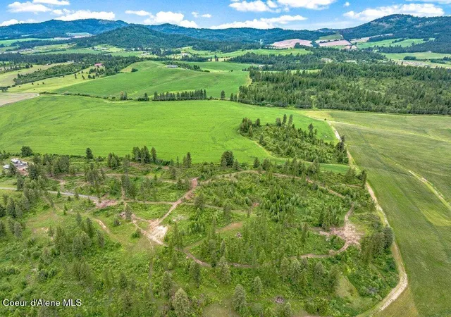 Homes for sale in Plummer, ID | Parcel 1 Freedom Way Rd, Plummer, ID 83851 | MLS# 26-6991