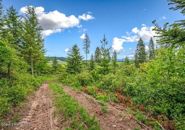 4th image of Parcel 1 Freedom Way Rd, Plummer, ID 83851 | MLS# 26-6991