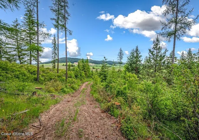 5th image of Parcel 1 Freedom Way Rd, Plummer, ID 83851 | MLS# 26-6991