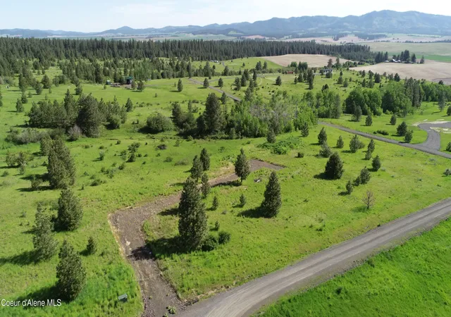 Homes for sale in Desmet, ID | 404 Vine Maple Rd, Desmet, ID 83824 | MLS# 26-7011
