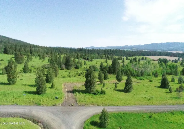 Homes for sale in Desmet, ID | 404 Vine Maple Rd, Desmet, ID 83824 | MLS# 26-7011