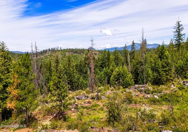 2nd image of 911 Otts Rd, Sagle, ID 83860 | MLS# 26-7034