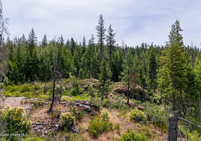 3rd image of 911 Otts Rd, Sagle, ID 83860 | MLS# 26-7034