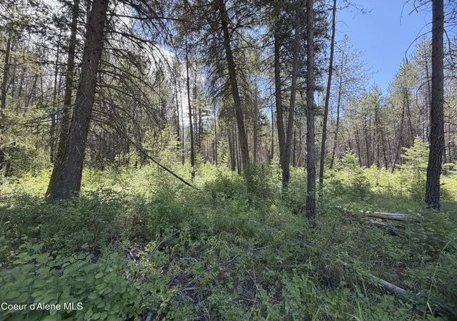 Homes for sale in Priest River, ID | 46 Ares Wy, Priest River, ID 83856 | MLS# 26-7090