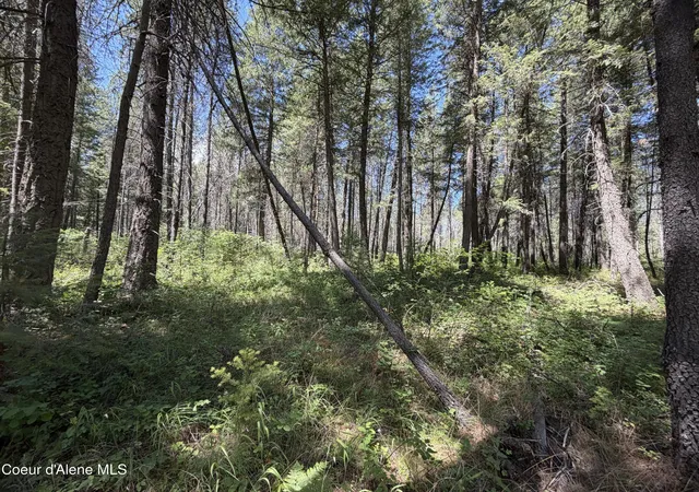 Homes for sale in Priest River, ID | 46 Ares Wy, Priest River, ID 83856 | MLS# 26-7090