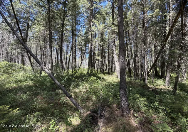 Homes for sale in Priest River, ID | 46 Ares Wy, Priest River, ID 83856 | MLS# 26-7090
