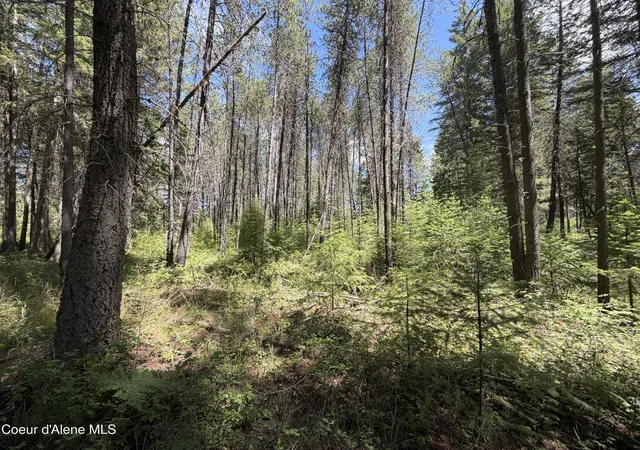 Homes for sale in Priest River, ID | 46 Ares Wy, Priest River, ID 83856 | MLS# 26-7090