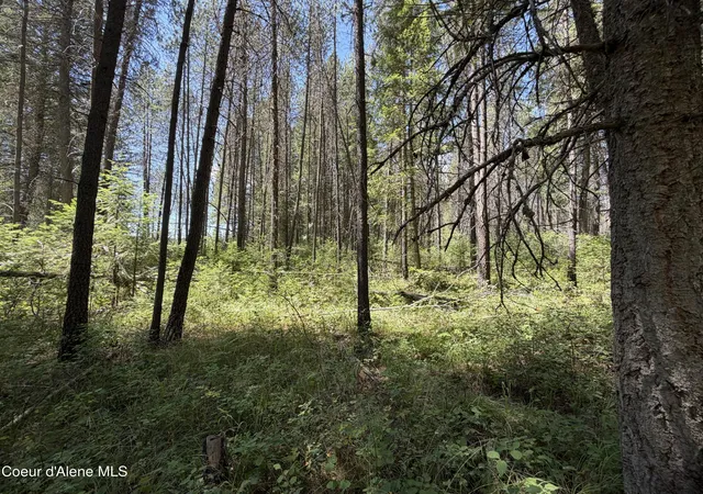 Homes for sale in Priest River, ID | 46 Ares Wy, Priest River, ID 83856 | MLS# 26-7090